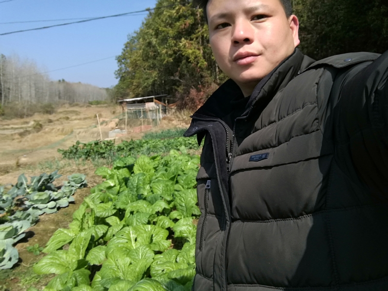 倔强的驴的第一张照片--昆山王婆说媒